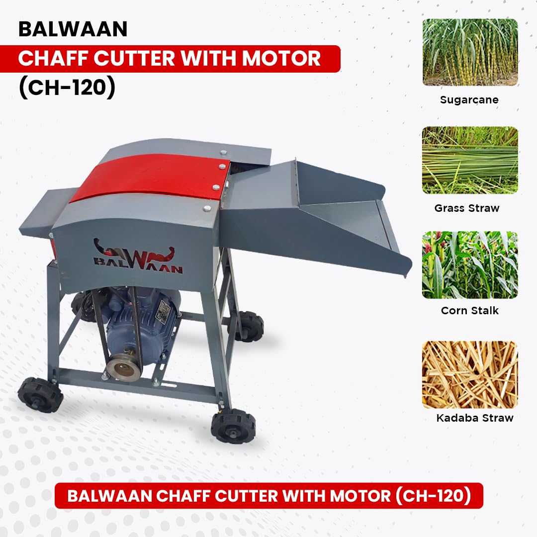 Balwaan Chaff Cutter (CH-120)