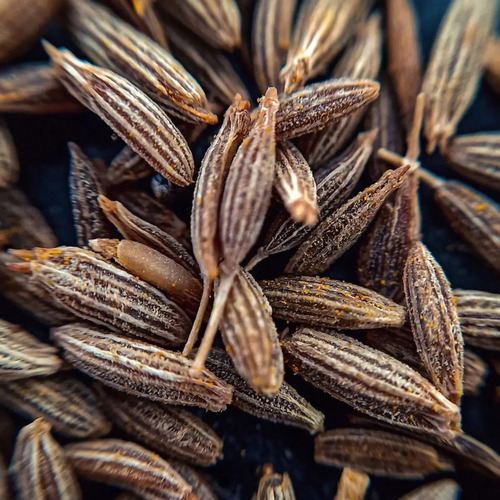 Cumin Seed - Product Type: Dried