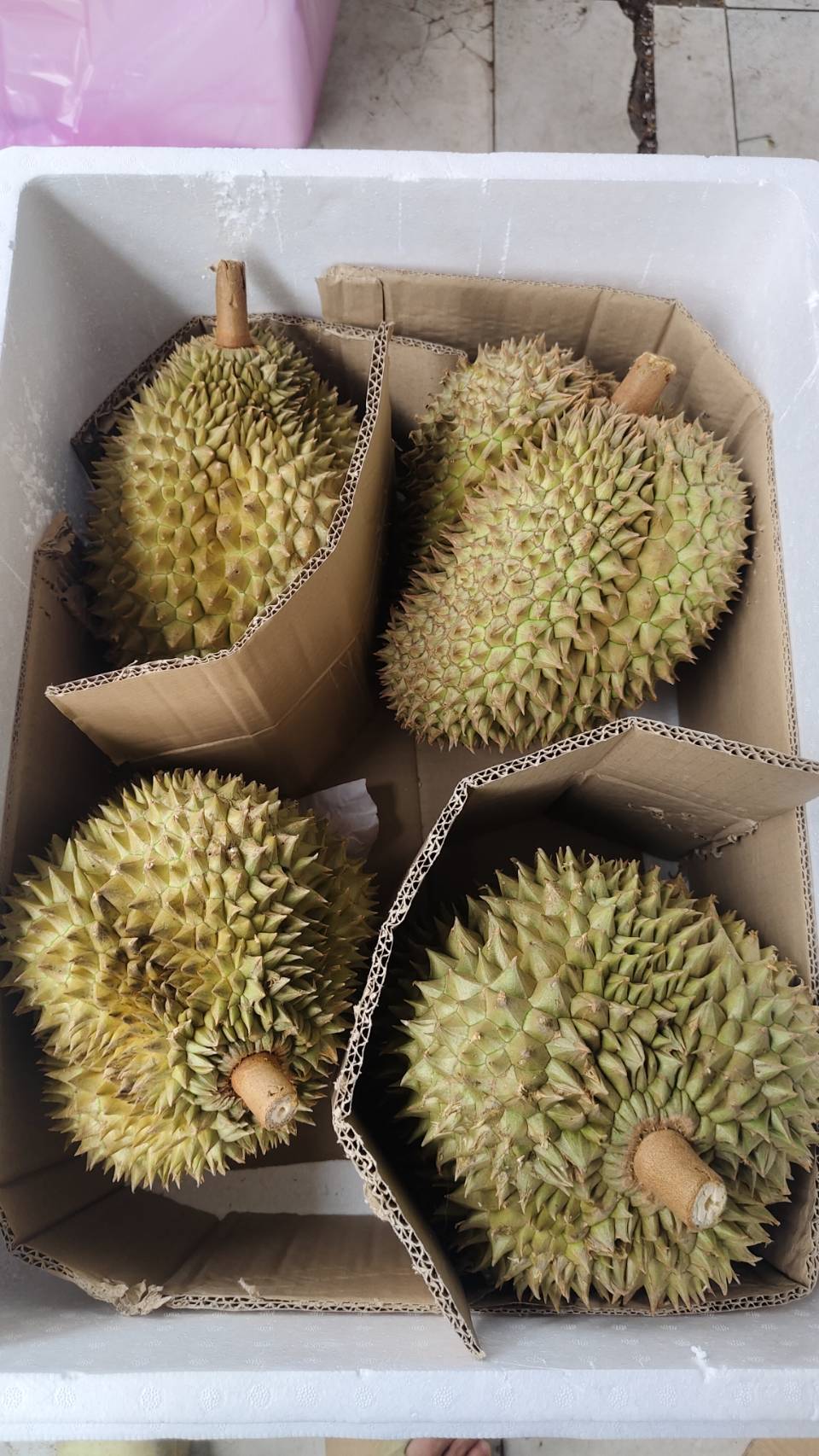 Monthong Durian Fruit - Color: -