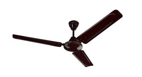 Ceiling Fan