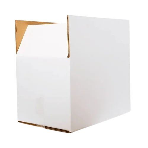 Duplex Carton Box