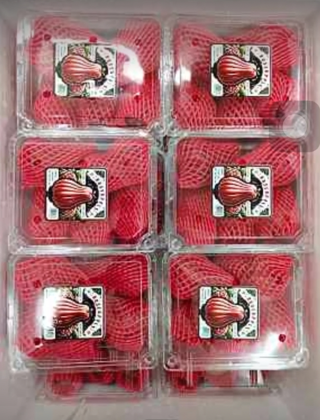 Rose Apple - 500g, Organic Round & Oval Fruit - Sweet, Red/Pink, Non-Glutinous