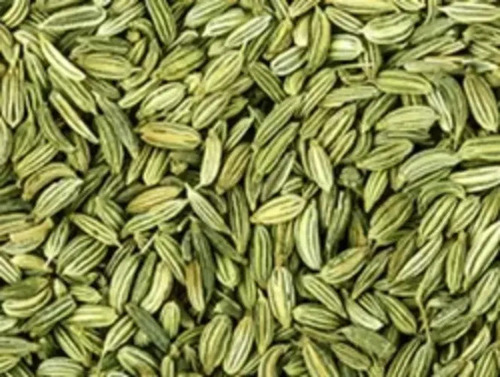 Fennel Seeds - Color: Green