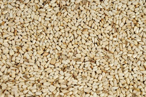 White Sesame Seeds