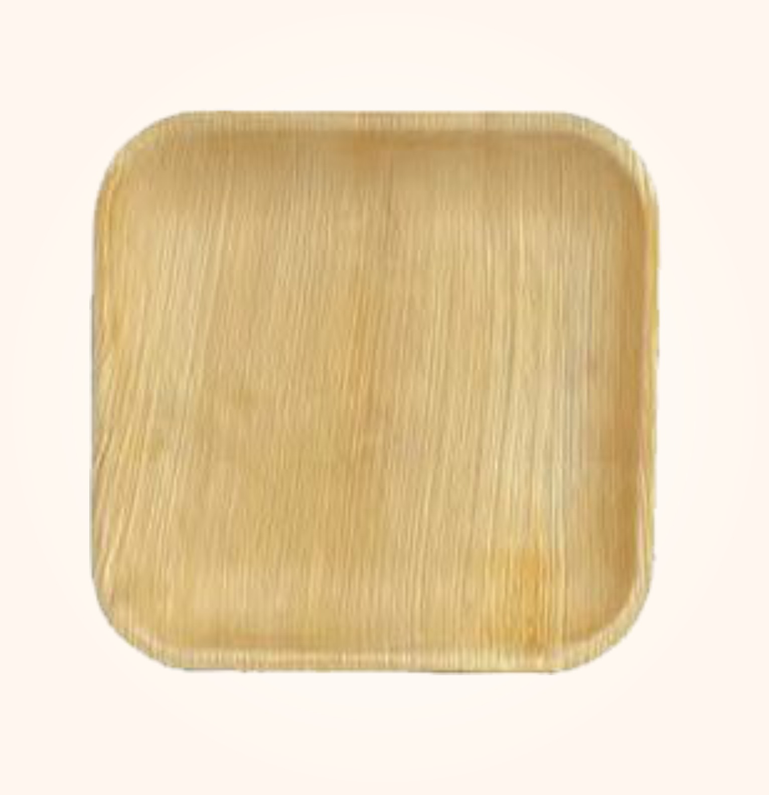 10 Inch Square Areca Leaf Plate