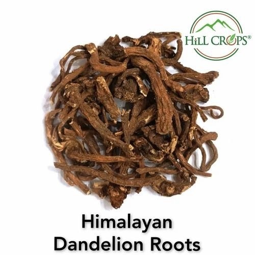 Dandelion Dried Root