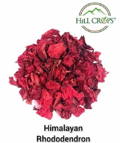Himalayan Rhododendron Arboreum/Buransh Flower - Dry Form, 10 Kg, Natural Color, 6 Months Shelf Life | Aroma: Flower, Flavour: Buransh, Variety: Plain, Sugar Content: No Sugar