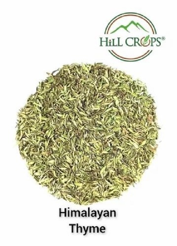 Thyme Leaves - 10 Kg Package | A Grade Medicinal Quality, Green Raw Leaves, 6 Months Shelf Life, Ideal for Cooking