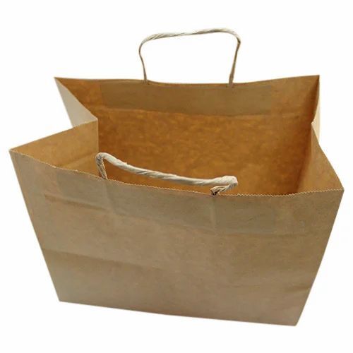 Brown Paper Carry Bag - Biodegradable, Moisture Proof, Recyclable | Plain Design, Rope Handle
