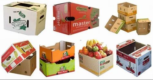 Fruit Packaging Boxes - Virgin Kraft Paper, Double Wall 5 Ply, 11-20 In Width, 1-10 In Height, Multi Color, Biodegradable, Moisture Proof