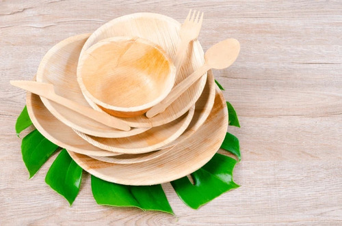 Palm Leaf Bowl
