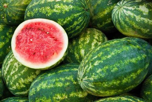 Fresh Watermelon - Fresh Quality, 100% Pure, Sweet Taste, Oval Shape, Green Skin, Non-Peeled, Standard Size, Good for Health | Shelf Life of 1 Month, Common Cultivation Type, Glutinous Variety