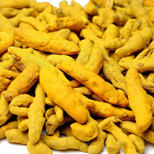 Turmeric Finger - Color: Yellow