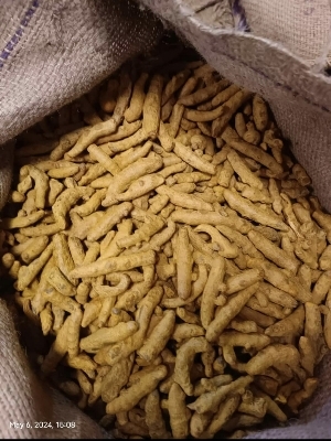 Turmeric Fingers - Shelf Life: 12 Months