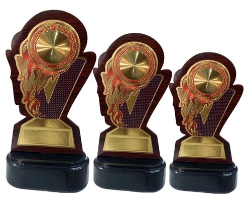 Wooden Award Trophy  - Color: All Colors