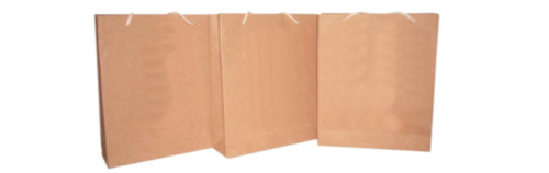 Brown Paper Carry Bag - Biodegradable, Moisture Proof , Recyclable, Rope Handle, Plain Design