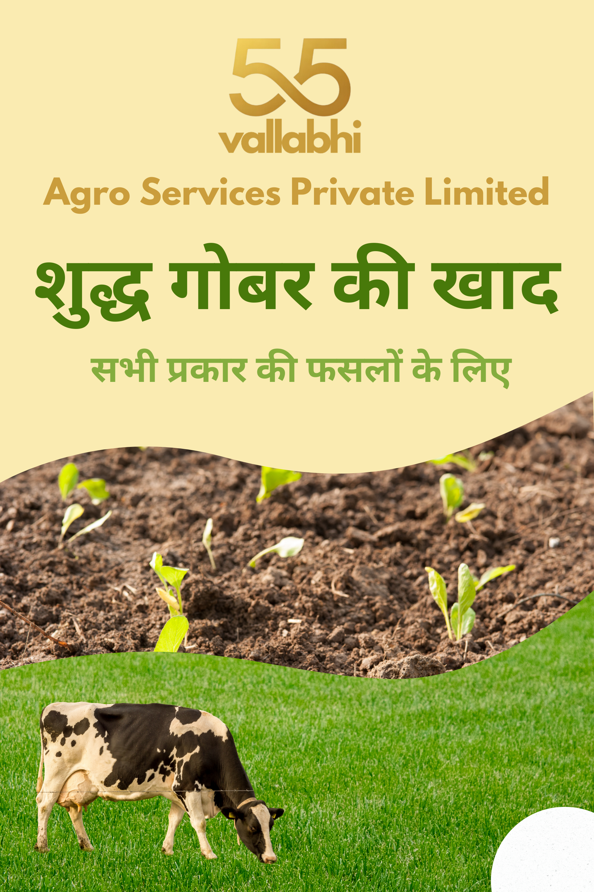 cow dung fertilizer