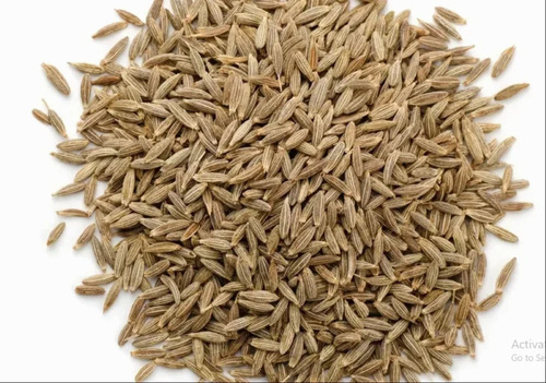 Cumin Seed