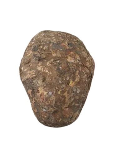 Elephant Yam - Pesticide Free, 10 kg Jute Bag | Chopped Processing Form, Common Shape, Cooked Style