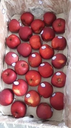 Fresh Apple - Premium Quality A Grade, Sweet Red Round Whole Fruit | Ideal for Human Consumption, Optimum Freshness, Common Cultivation Type