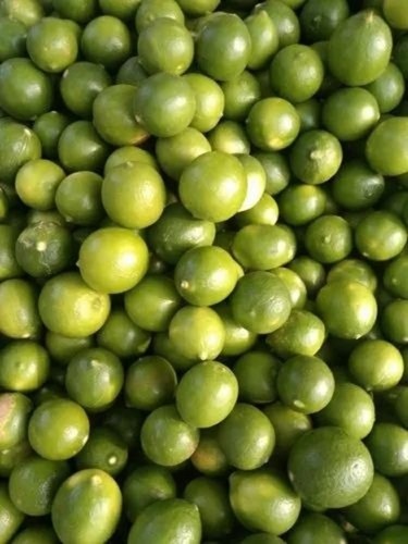 Green Lemon - Export Quality Whole Lemon, 5 Kg Box Packing, Round Shape, A Grade, Common Cultivation Type, Vibrant Green Color