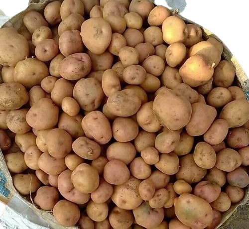 A Grade Potato