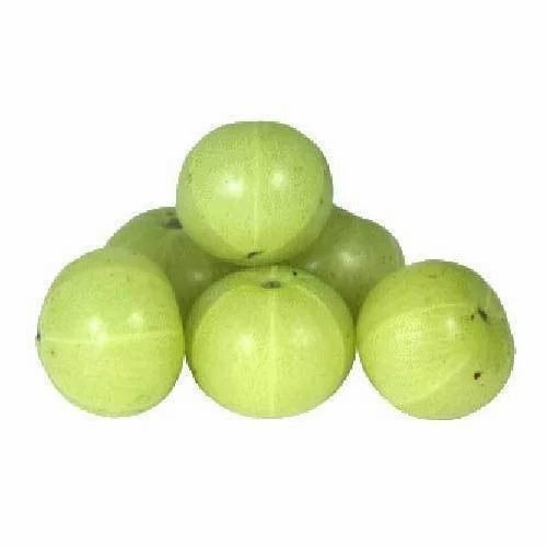 Fresh Gooseberry - Organic Whole Fruit, 5 Kg to 100 Kg Net Bag, Plastic Bag, Carton, Gunny Bag, Wood Box Packaging - Very Good Quality, Fresh Green Round Berries