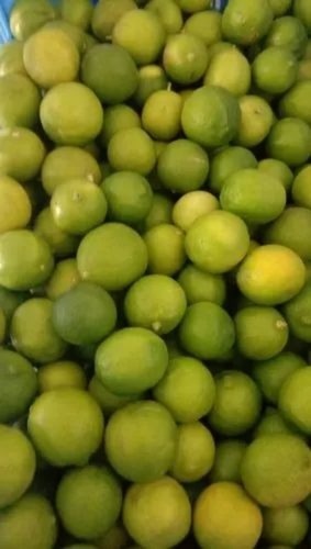 Fresh Lemon - A Grade Raw Common Shape Dry Storage Instructions | Ideal for Human Consumption Very Good Quality Cooked Style