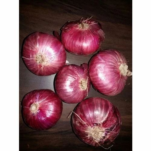 Fresh Onion - A Grade, Raw Common Shape | Fresh Processing, Cooking Application, Packed in Gunny Bag for Cool and Dry Storage