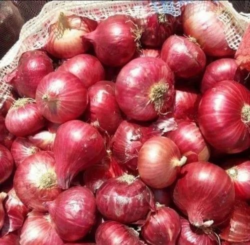 Fresh Organic Onion - A Grade Pearl Onion, Fresh Raw Form for Human Consumption, Common Shape, Cooked Style