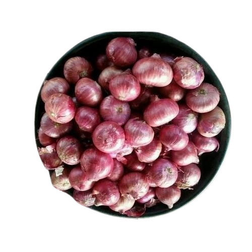 Fresh Pink Onion