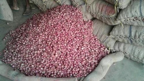 Fresh Red Onion - B Grade Quality, 50 Kg Net Bag | Raw Form, Common Shape, Suitable for Food Packaging, Ideal for Cooked Dishes