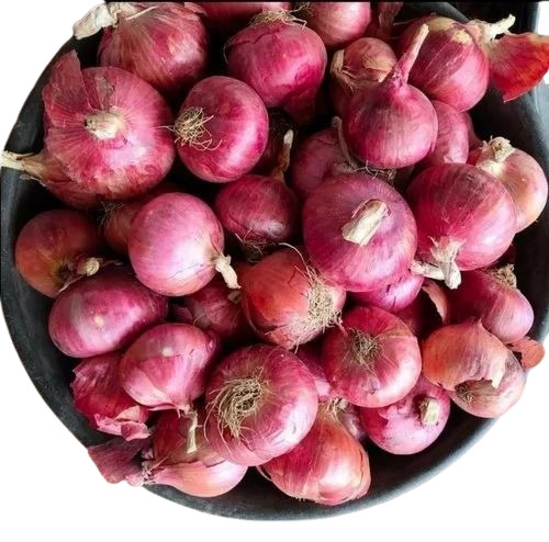 Onion - Fresh A Grade Pearl Onion, Raw Processing Form, Common Shape, Cooked Style, Ideal for Human Consumption