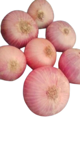 Red Onion - B Grade, Medium Size 50 Kg Net Bag | Raw Processing, Cooked Style, Common Shape