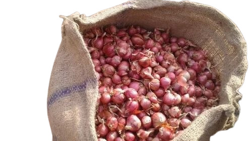 Sambar Onion - B Grade Quality, 50 Kg Net Bag | Raw Processing, Common Shape, Cooked Style for Food Packaging