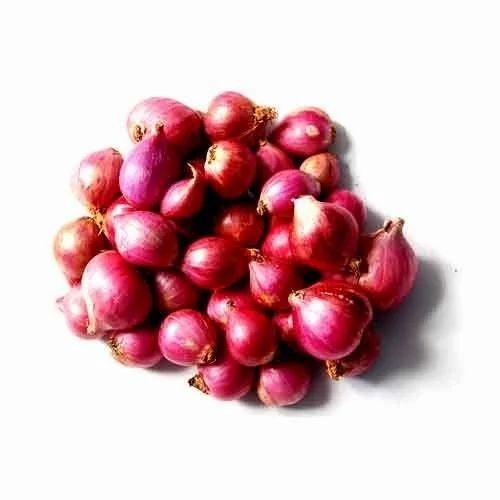 Small Onion - Fresh A Grade Vegetables | Raw Processing Form, Common Shape, Ideal for Cooking, Packaged in Gunny Bag, Store in Cool and Dry Place