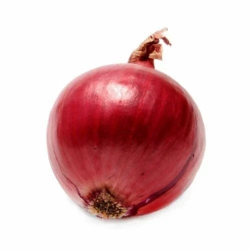 35mm Red Onion