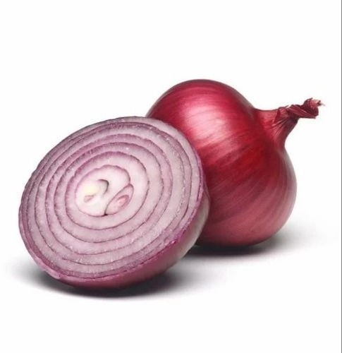 45mm Red Onion