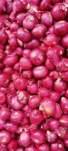 Red Onion - 50 Kg Package, 60 mm Size, Raw Form, Common Shape, Packed in Carton, Ideal for Dry Storage