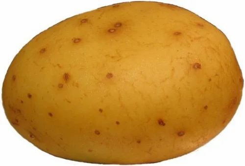 Fresh Potato - Cooking Grade A | Optimum Quality, Fresh Condition, Common Shape, Style: Cooked, Processing: Raw, Store in Cool and Dry Place