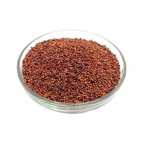Natural Ragi Seeds - 50kg Loose Brown Seeds, Dried Organic Variety with 10% Moisture, 100% Pure and High in Protein