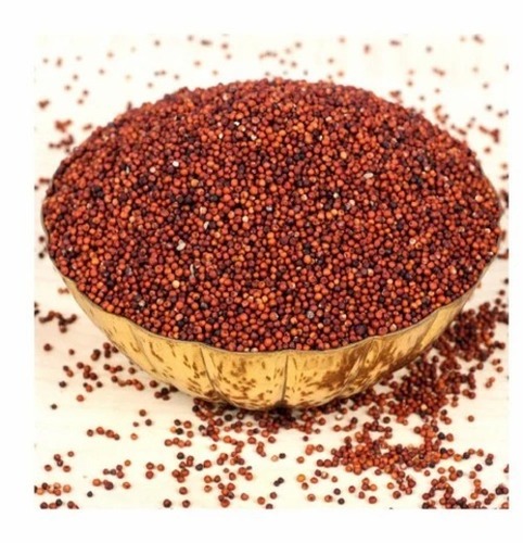 Ragi Seeds - Organic Brown Seeds, 50kg Packaging, High in Protein, 10% Moisture, 1.3% Fat, 100% Purity | Natural Weight Loss Agent