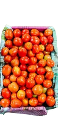 Red Tomato - Hybrid, 20 Kg Crate, A Grade | Raw Processing, Common Shape, Cooked Style