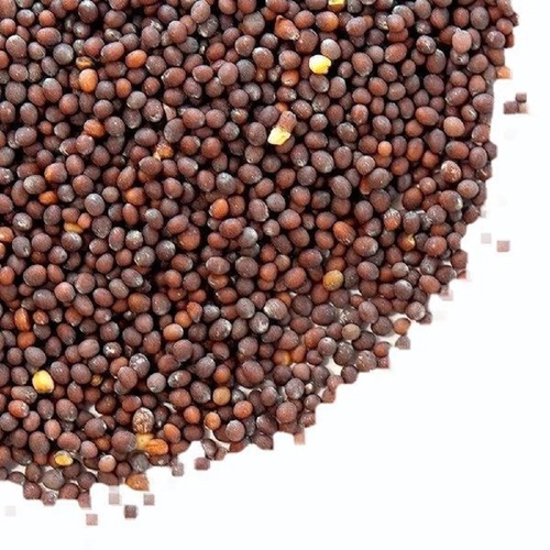 Mustard Seed