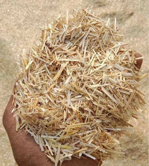 Natural Wheat Straw