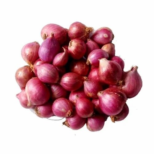 Red Small Onion - 25 mm Shallots A Grade Quality | Raw Processing Form Common Shape 6 Month Shelf Life Ideal for Cooking