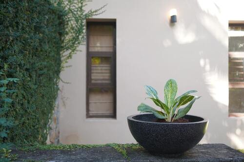 Roto Moulded Flower Pot - Material: Plastic