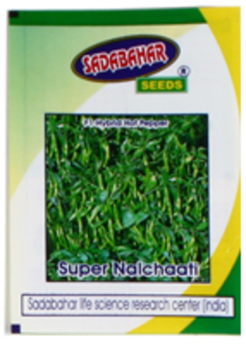 Seeds Packaging Pouches - Plastic, Multi Color, Printed Design | Versatile Seed Storage Solution