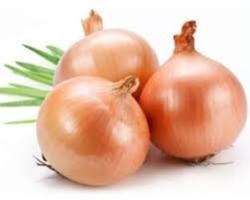 Fresh Onions - A Grade, Fresh Raw Common Shape Vegetables | Ideal for Cooking Applications