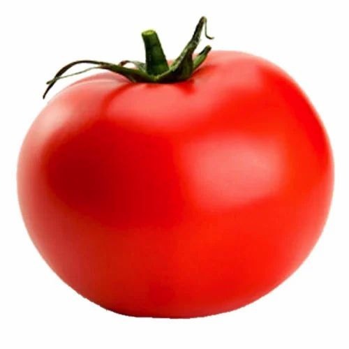 Fresh Tomatoes - A Grade Cooking Fresh Vegetables | Optimum Quality, Common Shape, Raw Processing Style